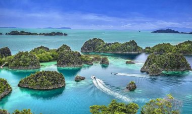 7 islands ruled by animals: From pigs and cats to monkeys and deadly snakes